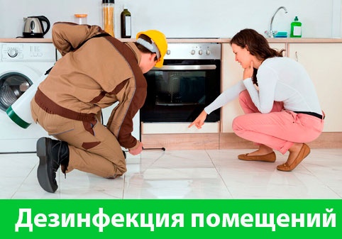 Дезинфекция офисов от коронавируса в городе Липецк