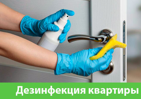 Дезинфекция квартиры в городе Липецк