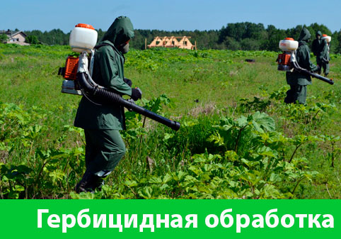 Гербицидная обработка в городе Липецк