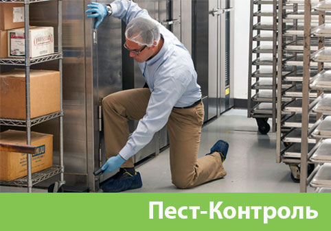 Пэст-Контроль в городе Липецк