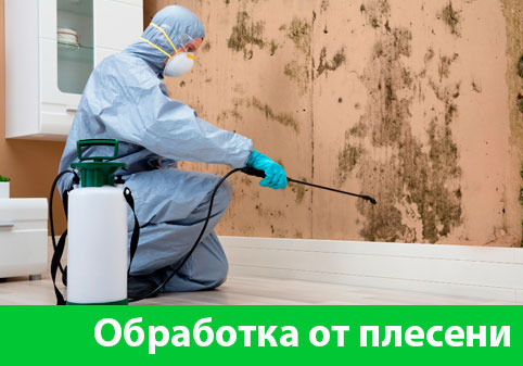 Обработка от плесени в городе Липецк