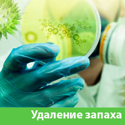 Удаление запахов в Липецке