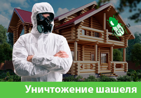 Уничтожение шашеля и личинок в Липецке
