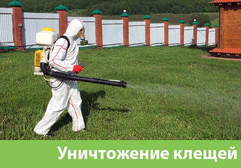 Уничтожение клещей в городе Липецк