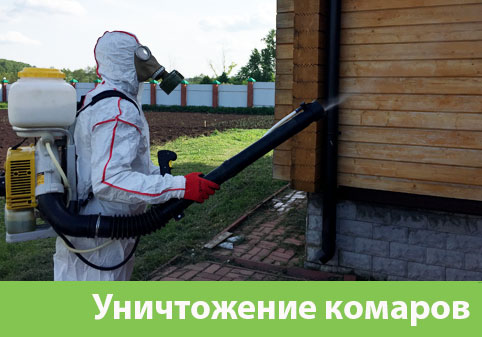 Уничтожение комаров в городе Липецк